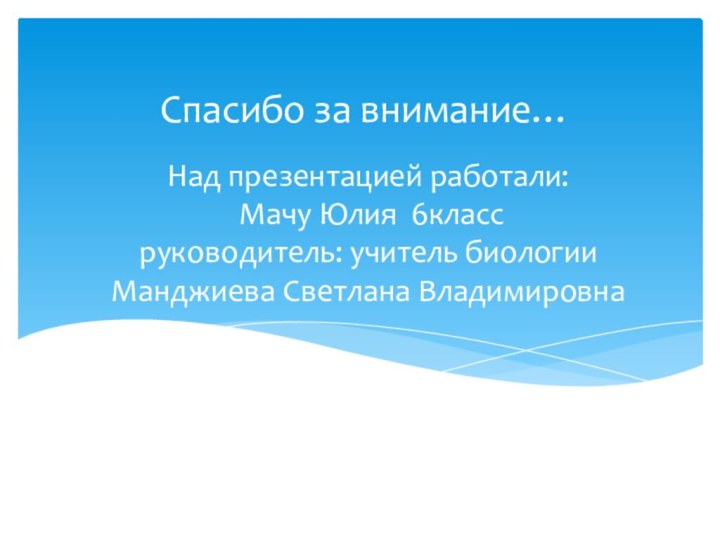 Над презентацией работали:  Мачу Юлия 6класс руководитель: учитель биологии Манджиева Светлана ВладимировнаСпасибо за внимание…