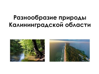 Презентация по окружающему миру на тему Разнообразие природы Калининградской области