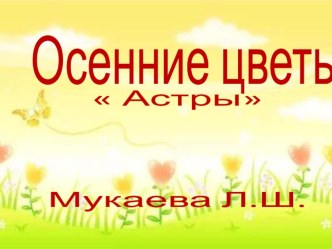 Осенние цветы Астры