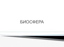 Презентация к уроку Биосфера в 11 классе