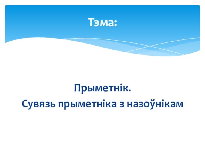 Прыметнік. Сувязь прыметніка з назоўнікамТэма: