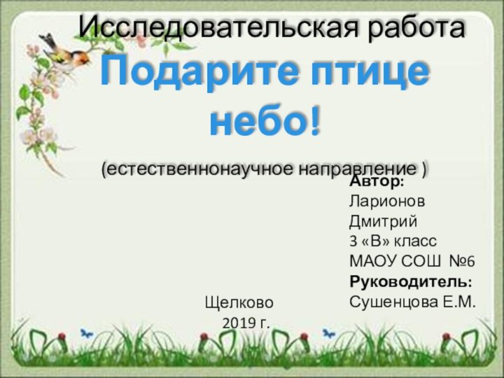 Исследовательская работа Подарите птице небо!  (естественнонаучное направление )	 Автор: Ларионов