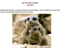 Презентация по английскому языку на тему My favourite animal (3 класс)