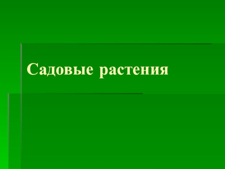 Садовые растения