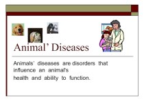 Презентация по английскому языку на тему Animal Diseases