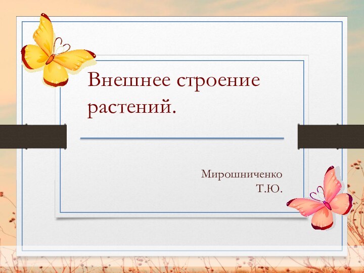 Мирошниченко Т.Ю.Внешнее строение растений.