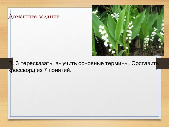 Домашнее задание.П. 3 пересказать, выучить основные термины. Составить кроссворд из 7 понятий.