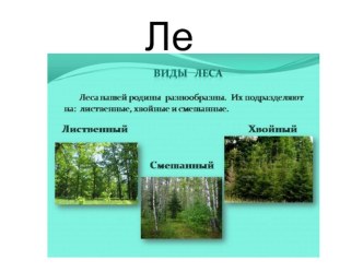 Презентация по природоведению на тему Лес (4 класс)