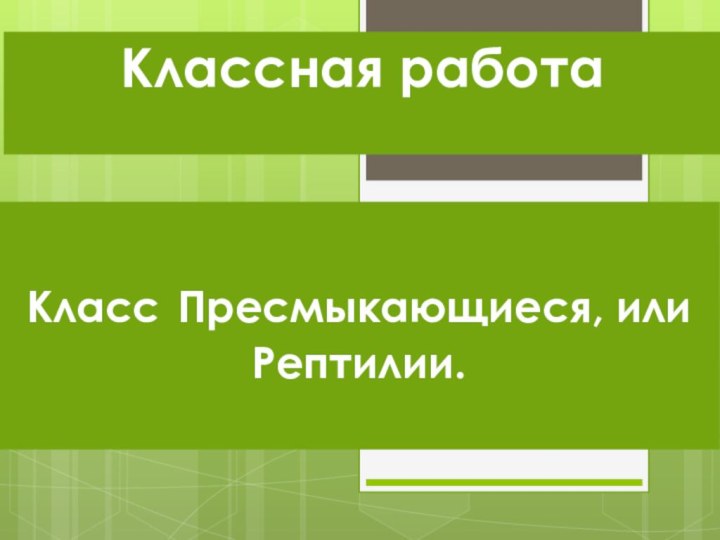 Класс Пресмыкающиеся, или Рептилии. Классная работа