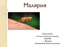 Познавательная презентация по биологии на тему Малярия