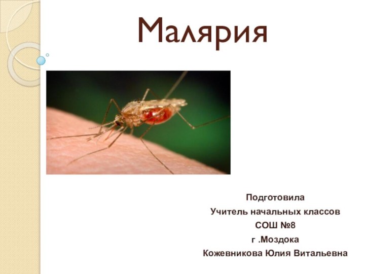 МалярияПодготовила Учитель начальных классовСОШ №8г .МоздокаКожевникова Юлия Витальевна