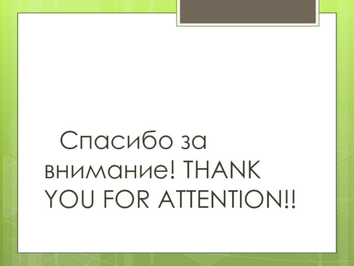 Спасибо за внимание! THANK YOU FOR ATTENTION!!