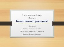 Презентация по окружающему миру Какие бывают растения? (2 класс)