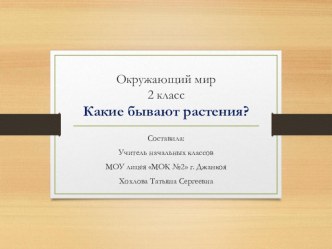 Презентация по окружающему миру Какие бывают растения? (2 класс)