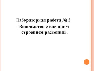 Лабораторная работа №3 Знакомство с внешним строением растения