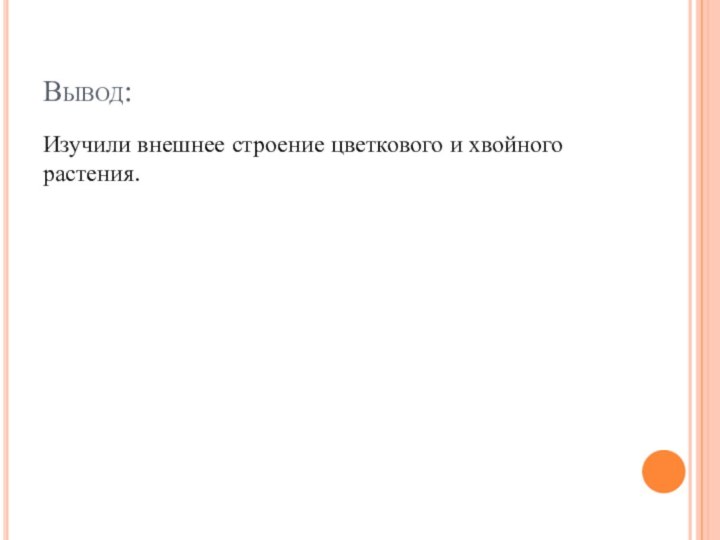 Вывод:Изучили внешнее строение цветкового и хвойного растения.