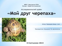 Презентация по окружающему миру на тему: Мой друг - черепаха