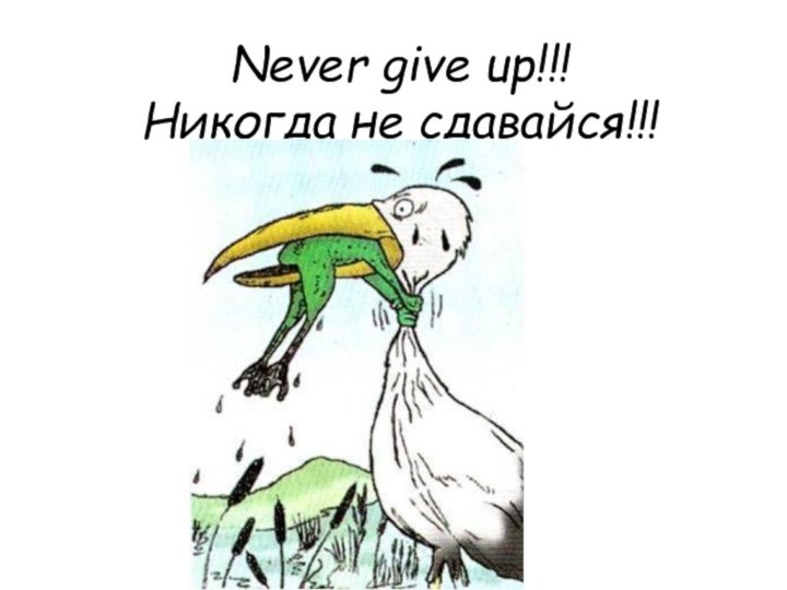 Never give up!!!  Никогда не сдавайся!!!