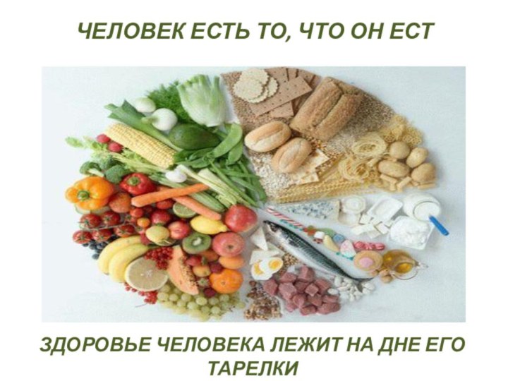 ЧЕЛОВЕК ЕСТЬ ТО, ЧТО ОН ЕСТЗДОРОВЬЕ ЧЕЛОВЕКА ЛЕЖИТ НА ДНЕ ЕГО ТАРЕЛКИ