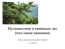 Презентация по окружающему миру на тему Пушешествие в хвойный лес 1 класс