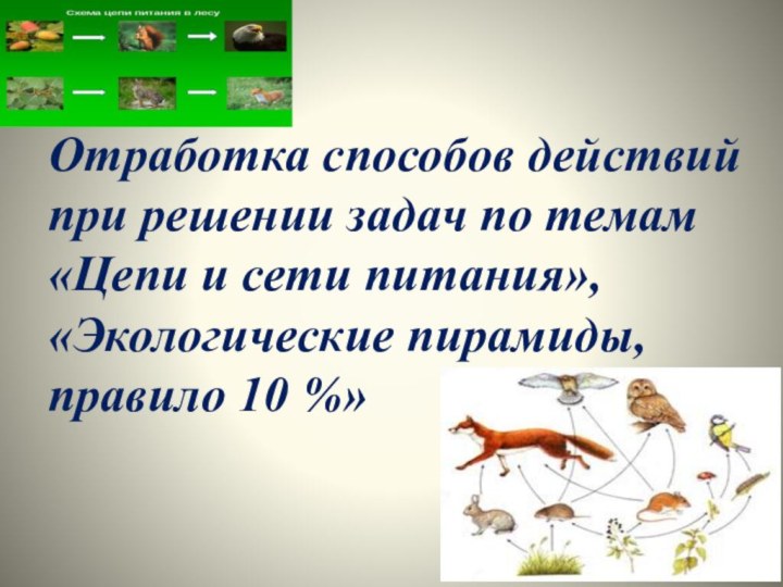 Отработка способов действий при решении задач по темам «Цепи и сети питания»,