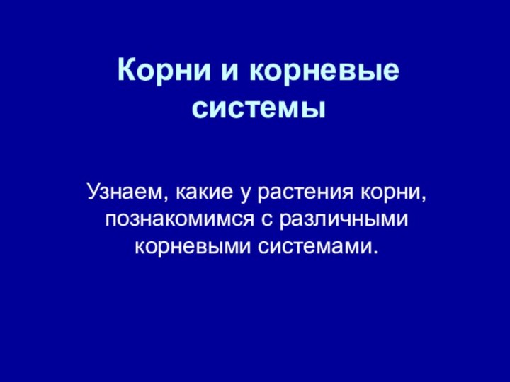 Корни и корневые системыУзнаем, какие у растения корни, познакомимся с различными корневыми системами.