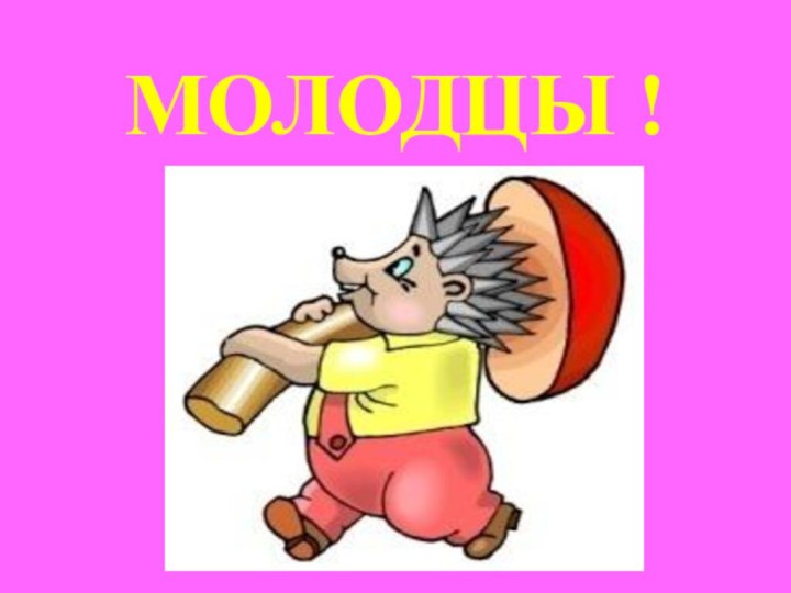 МОЛОДЦЫ !