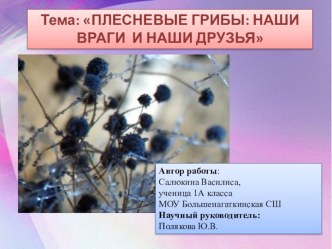 Исследовательская работа Плесневые грибы: наши враги и наши друзья