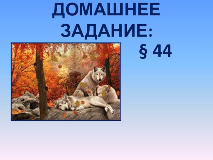 Домашнее задание:§ 44