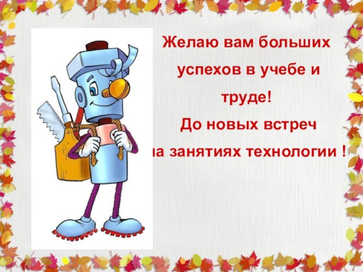 Желаю вам больших успехов в учебе и труде! До новых встреч на занятиях технологии !