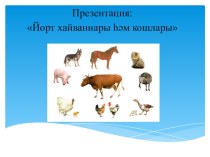Презентация по татарскому языку на тему Йорт хайваннары һәм кошлары 1 класс