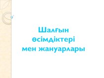 Презентация тақырыбы:Шалғын өсімдіктері менжануарлары 4-сынып