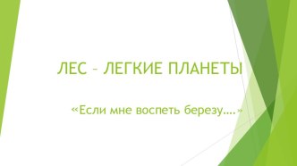 Презентация по русскому языку Лес-легкие нашей планеты