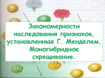 Презентация по биологии Закономерности наследования признаков установленные Г. Менделем