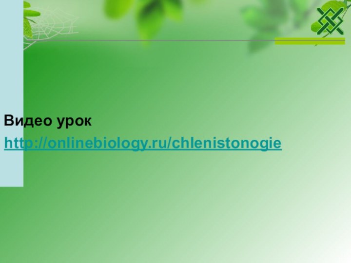 http://onlinebiology.ru/chlenistonogie Видео урок