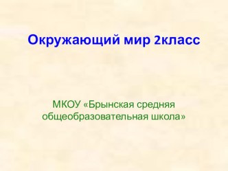 Презентация по окружающему миру на тему Дикие и домашние животные