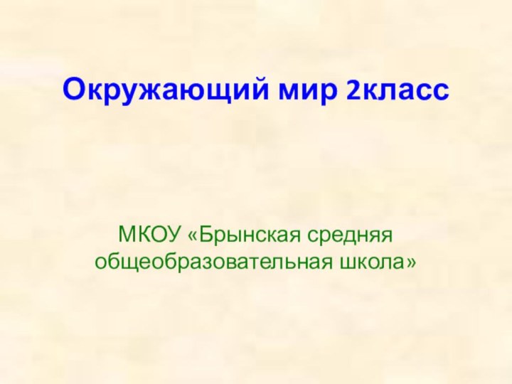 Окружающий мир 2классМКОУ «Брынская средняя общеобразовательная школа»