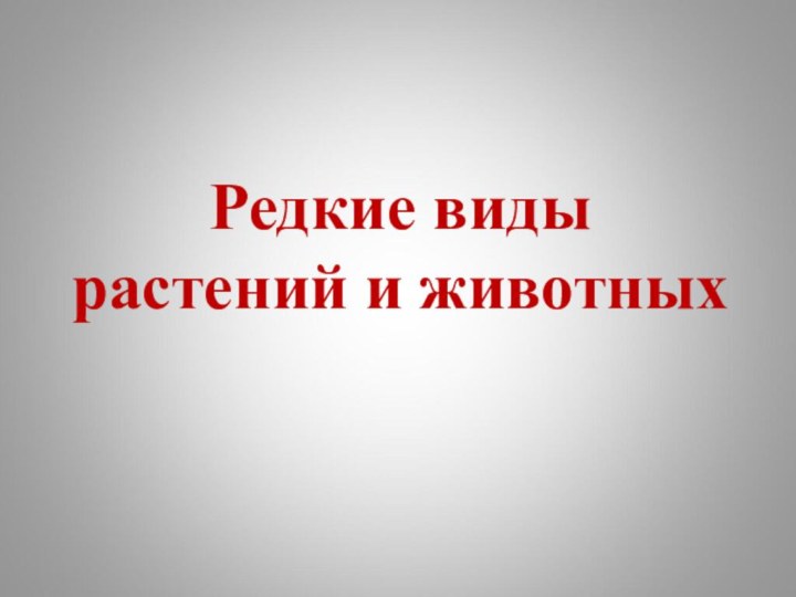 Редкие виды растений и животных