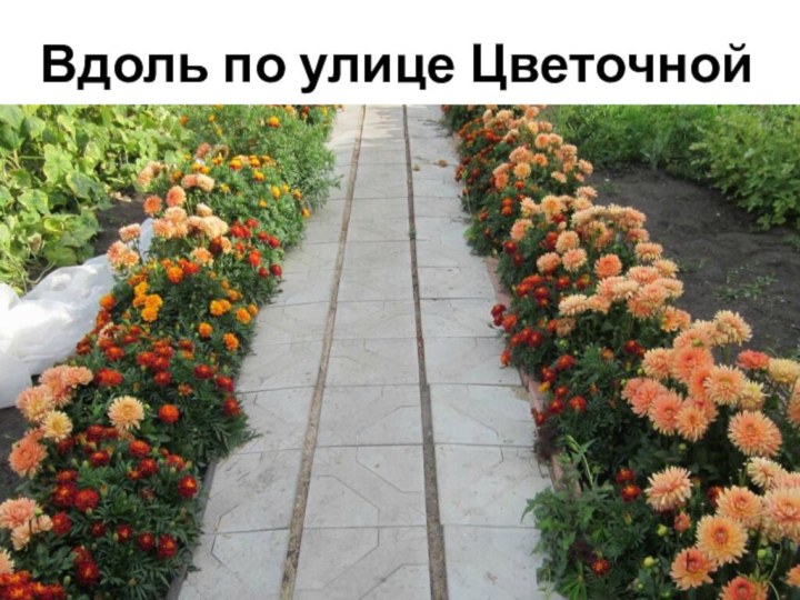 Вдоль по улице Цветочной