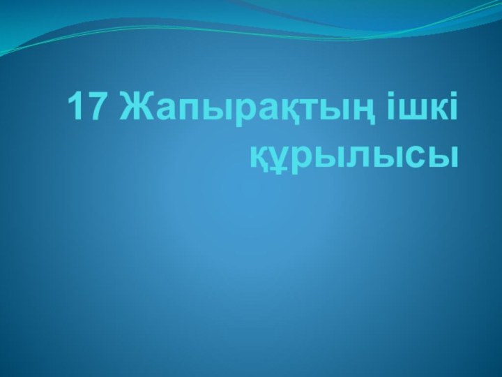 17 Жапырақтың ішкі құрылысы