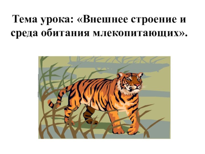 Тема урока: «Внешнее строение и среда обитания млекопитающих».