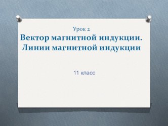 Урок физики в 11 классе Вектор магнитной индукции, линии магнитной индукции.