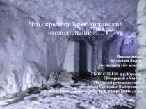 Что скрывает Красноглинский холодильник