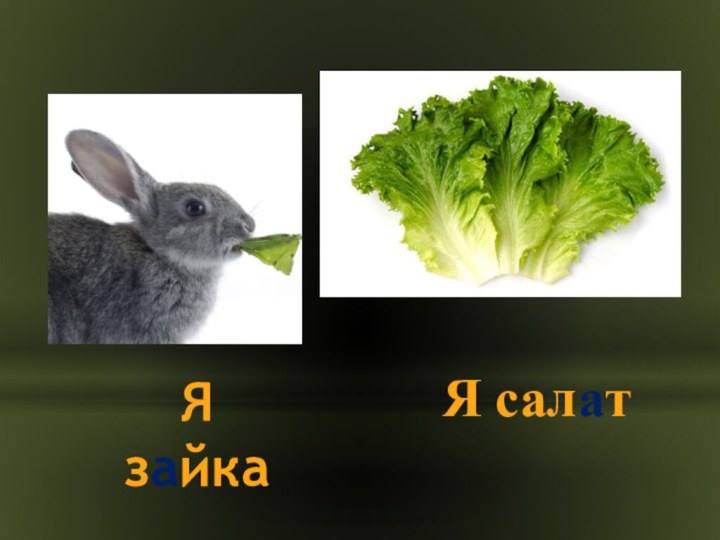 Я салатЯ зайка