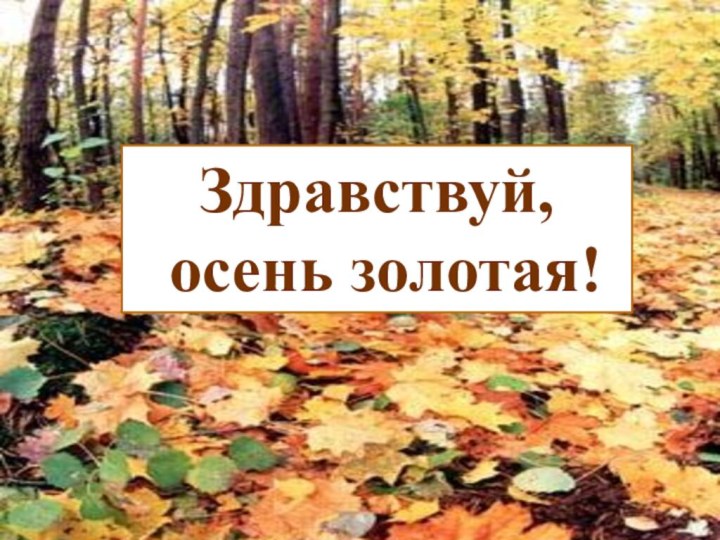 Называем слова на тему «Осень»Слова на тему «Осень»Здравствуй, осень золотая!