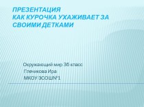 Презентация Как курочка ухаживает за своими детками 3 класс