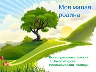 Моя малая родина. Достопримечательности города Новосибирска. Новосибирский зоопарк.