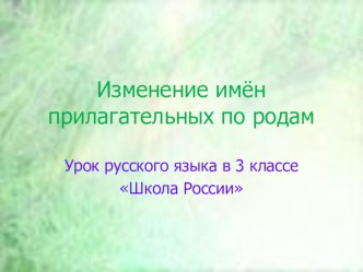 Презентация по русскому языку на тему Изменение имён прилагательных по родам