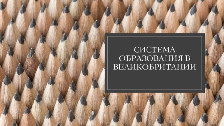 Система образования в Великобритании