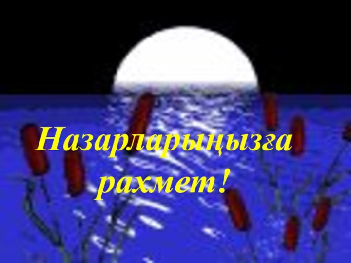 Назарларыңызға рахмет!